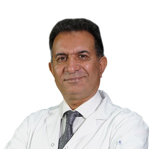 Dr Mehdi